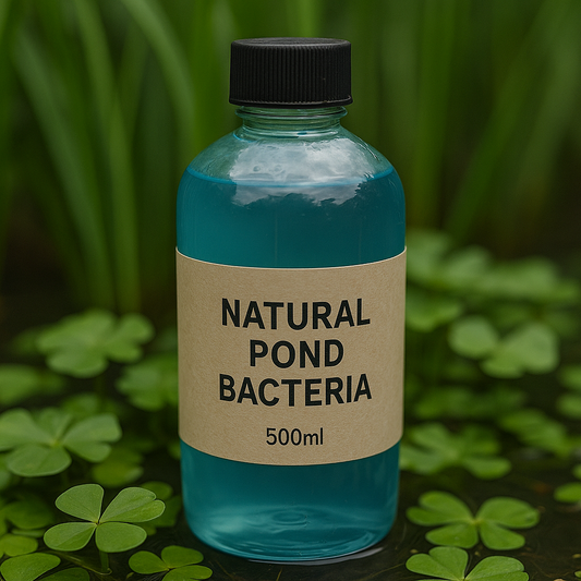 Natural Pond Bacteria 500 ml | AFRA